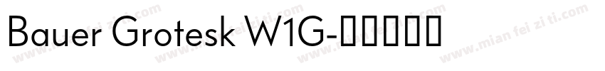 Bauer Grotesk W1G字体转换